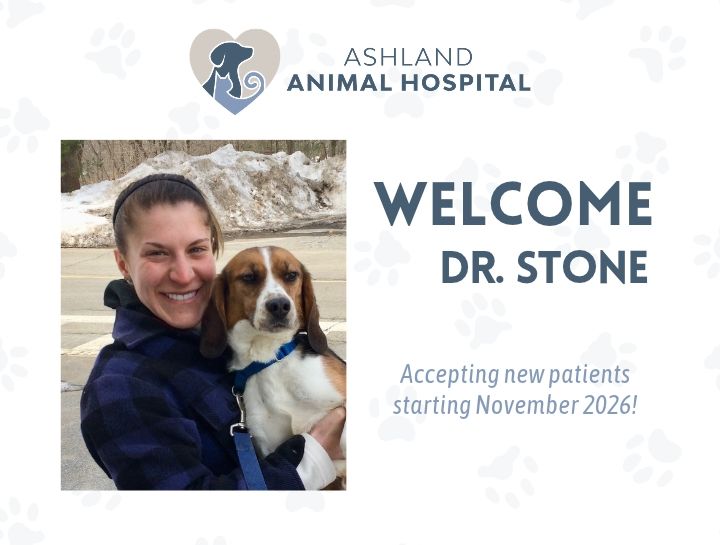 Welcome Dr. Stone to Our Team!